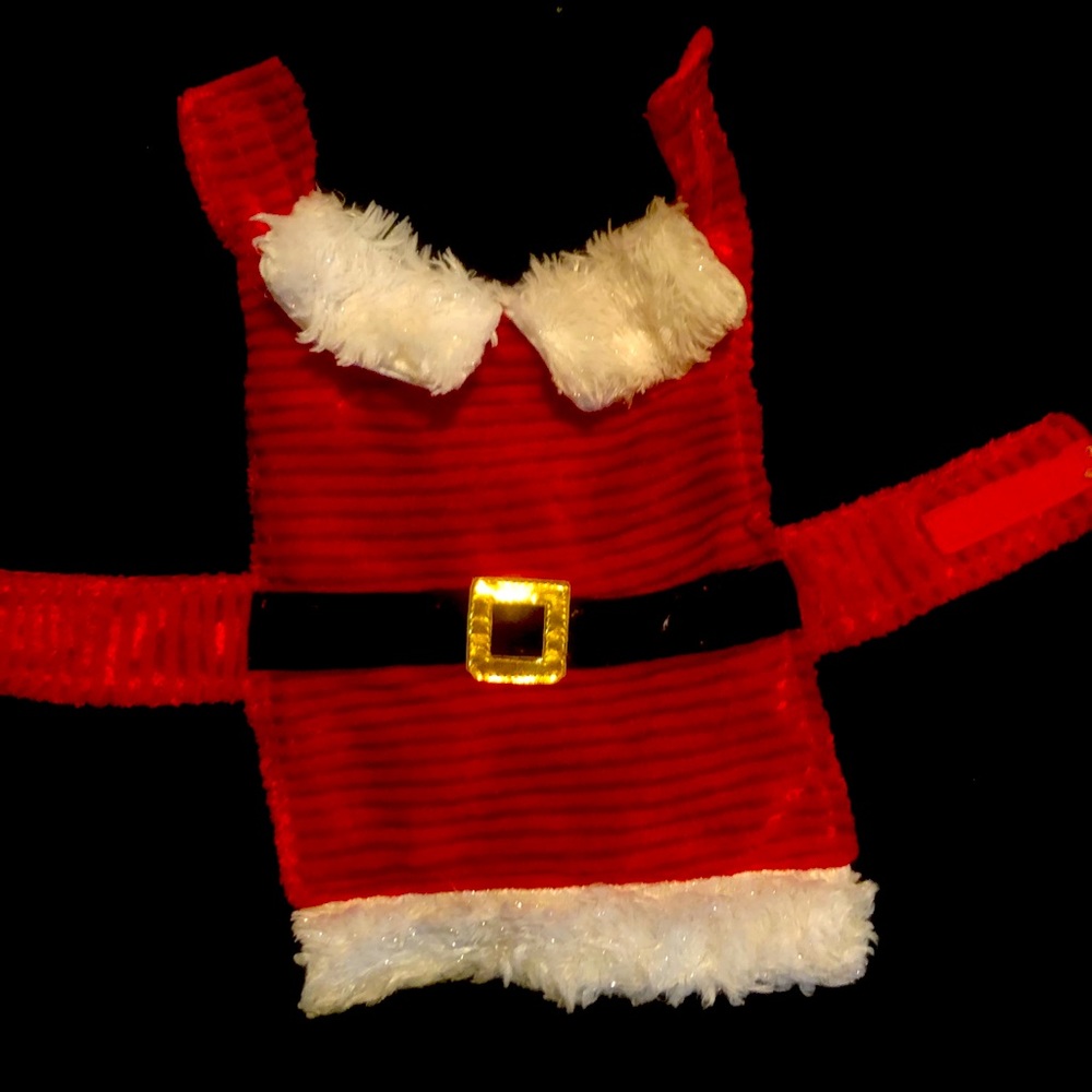 Santa outfit